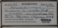 Image Associated With the Occurence